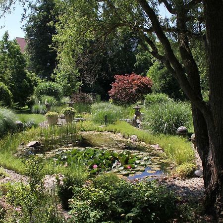 Fewo - Wohlfuehlambiente & Gartenparadies Modautal エクステリア 写真