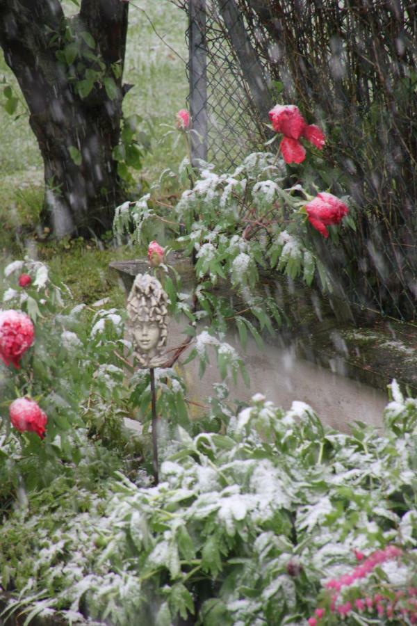 Fewo - Wohlfuehlambiente & Gartenparadies Modautal エクステリア 写真