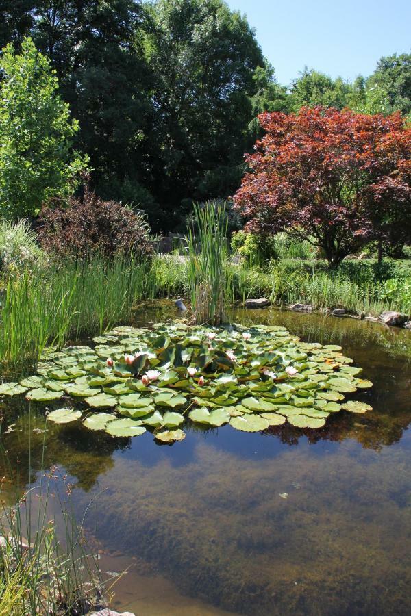 Fewo - Wohlfuehlambiente & Gartenparadies Modautal エクステリア 写真