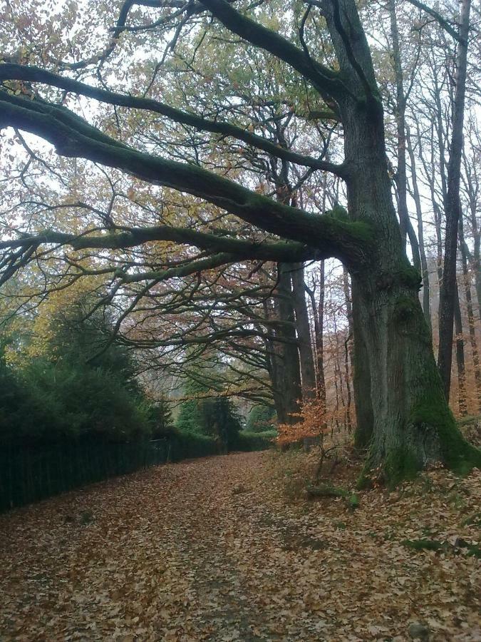 Fewo - Wohlfuehlambiente & Gartenparadies Modautal エクステリア 写真